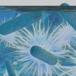 Legionella Risk Assessment: Everything You Need to Know