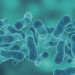 Legionella Risk Assessments: Keeping Water Systems Safe and Compliant