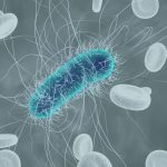What is a Legionella Risk Assessment?